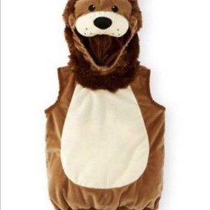 9-12 month lion costume